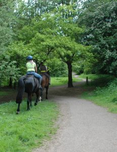 horse riding national forest