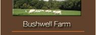 Bushwell Farm Self Catering Studios